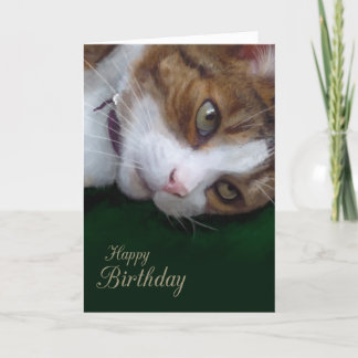 Carte Ginger Tabby Chat Personnalisable Joyeux Anniversa