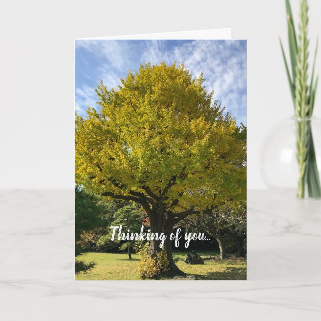 Carte Ginkgo Tree of Golden Yellow (Devant)