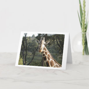 Carte Girafe
