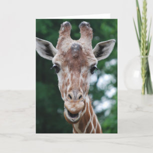 Carte girafe