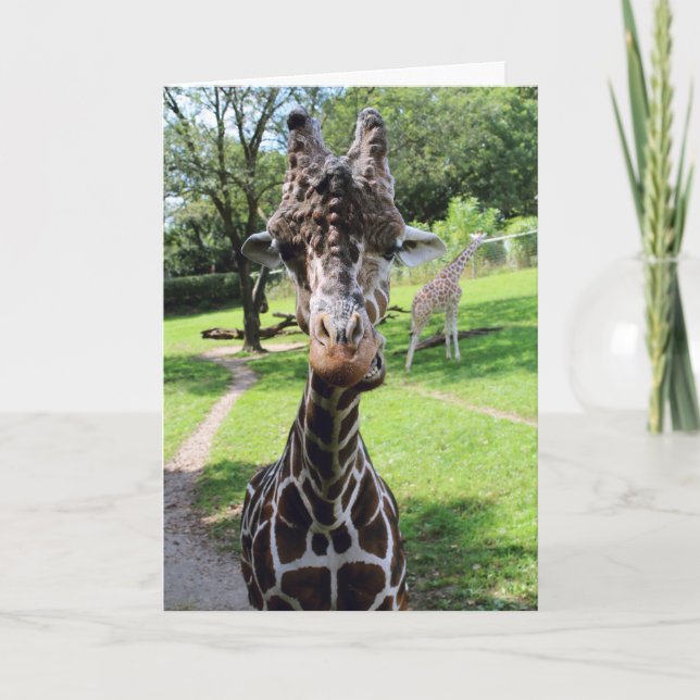 Carte Girafe (Devant)