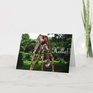 Carte girafe bonjour