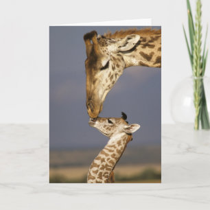 Carte Girafe Kissing
