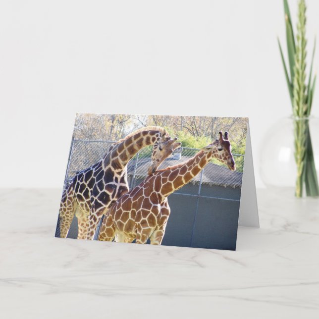 Carte Girafes dans l'amour (Devant)