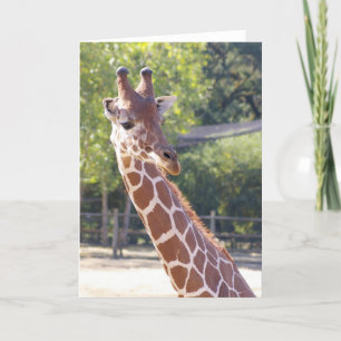 Carte Giraffe