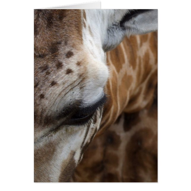 Carte Giraffe (Devant)