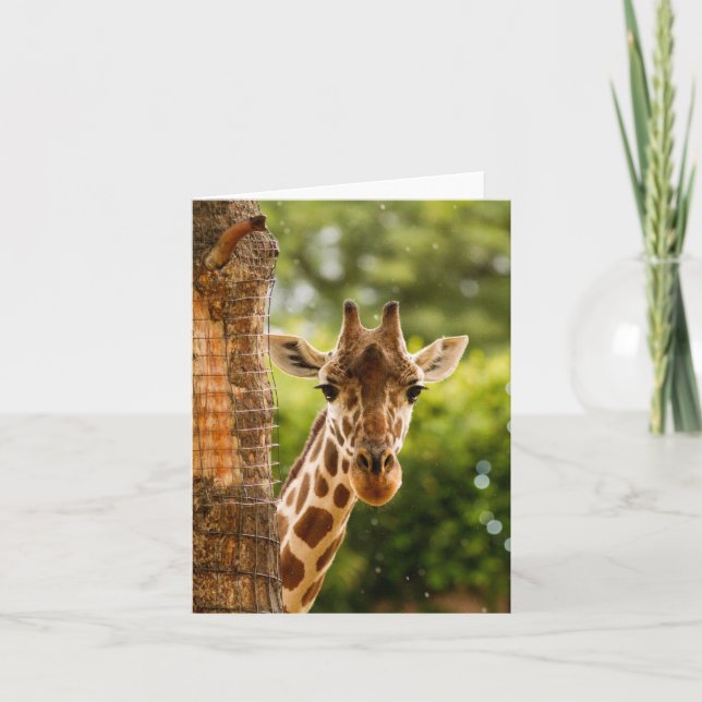 Carte Giraffe (Devant)