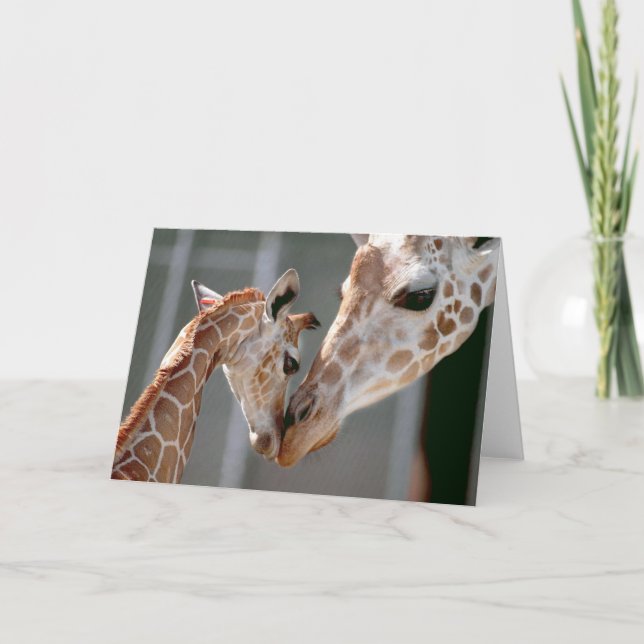 Carte Giraffe and Baby note card (Devant)