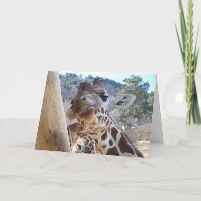 Carte Giraffe en gros plan (Devant)