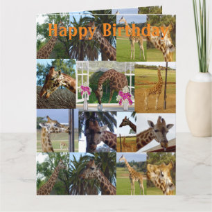 Carte Giraffe Photo Collage, Jumbo Birthday Card,