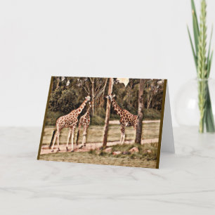 Carte Giraffes