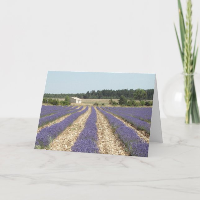 Carte Gisement de lavande en Provence (Devant)