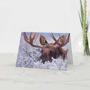 Carte Glace et neige   Grand Teton National Park, Wyomin