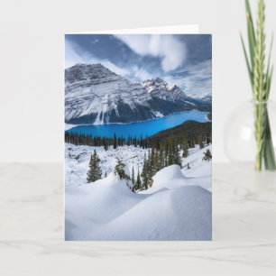 Carte Glace et neige   Lac Peyto, Rocheuses canadiennes