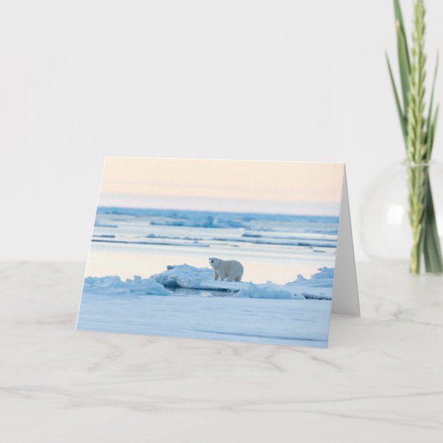 Carte Glace et neige | Ours polaire Iceberg Norvège (Devant)