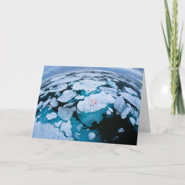 Carte Glace et neige | Ours polaire, Océan Arctique, Sva (Devant)