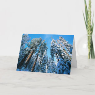 Carte Glace et neige Parc national de Sequoia, Califor