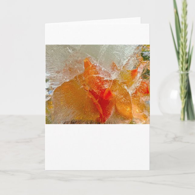 Carte Gladioli dans la glace, (Devant)
