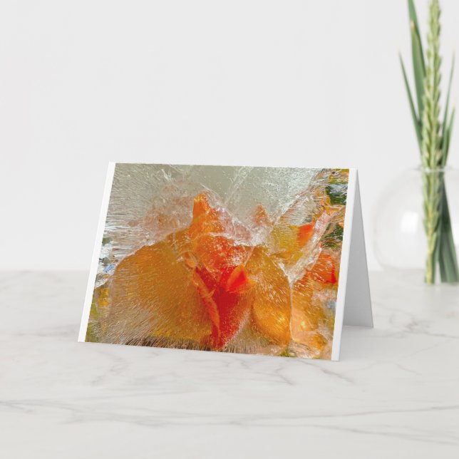 Carte Gladioli dans la glace, (Devant)