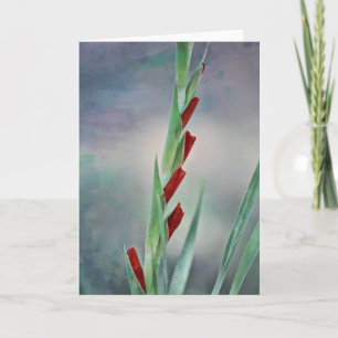 Carte Gladiolus Buds Flower Portrait Note