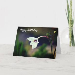 Carte Glaïeul blanc fleur de jardin Joyeux Anniversaire
