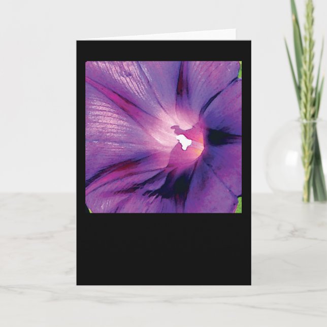 Carte Gloire de matin (Devant)