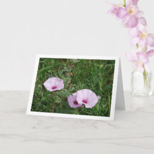 Carte Gloire du Matin Lilas, Fleurs Sauvages de Liane de