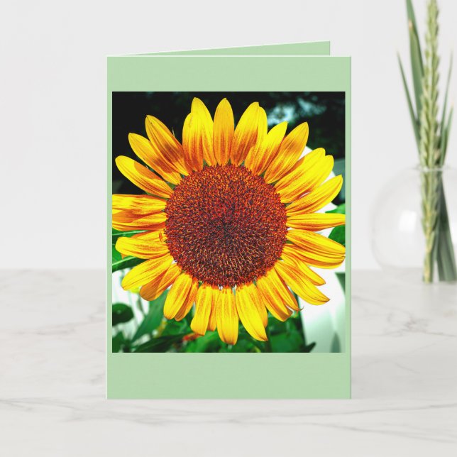 Carte Gloire du Tournesol (Devant)