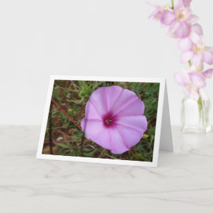 Carte Glorieuse du matin pourpre, Fleur sauvage de mauve