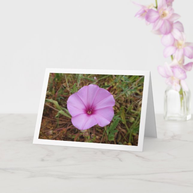 Carte Gloriosa du Matin Pourpre, Fleur Sauvage de Lisero (Orchidée)