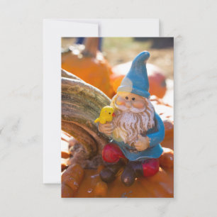 Carte Gnome II