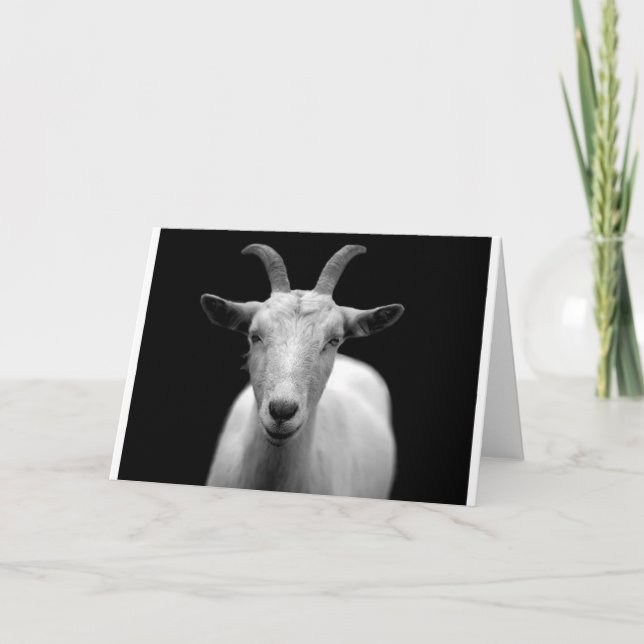 Carte Goat (Devant)