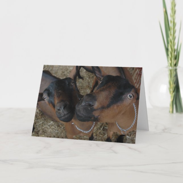 Carte goats (Devant)
