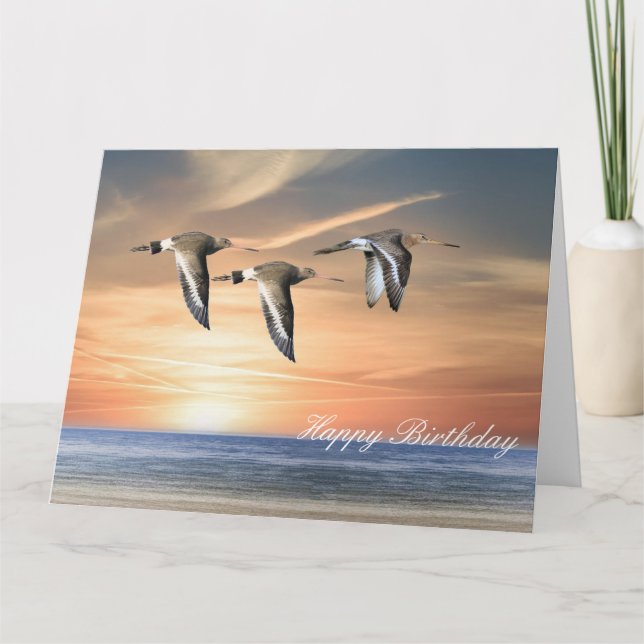 Carte Godwins en vol (Devant)