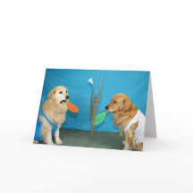 Golden Badminton Anniversaire