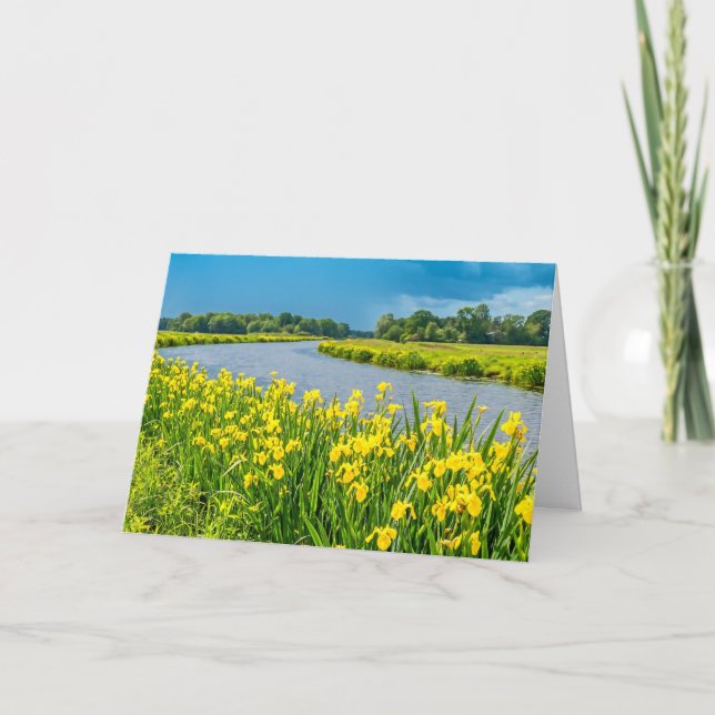 Carte Golden Irises inspiring the symbol Fleur de Lis.  (Devant)