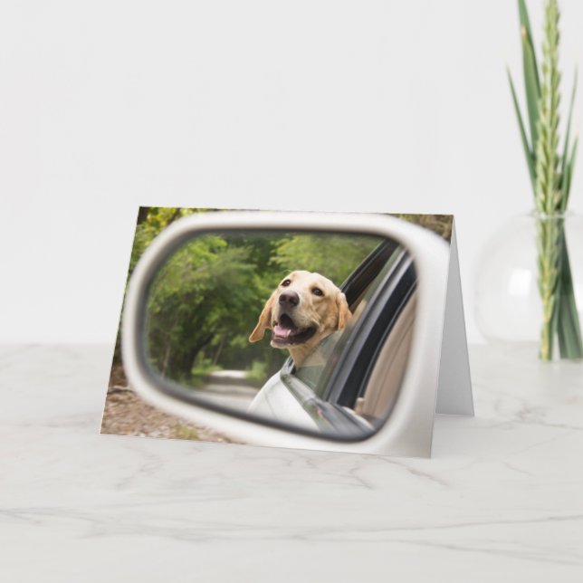 Carte Golden Labrador In Rearview Mirror (Devant)