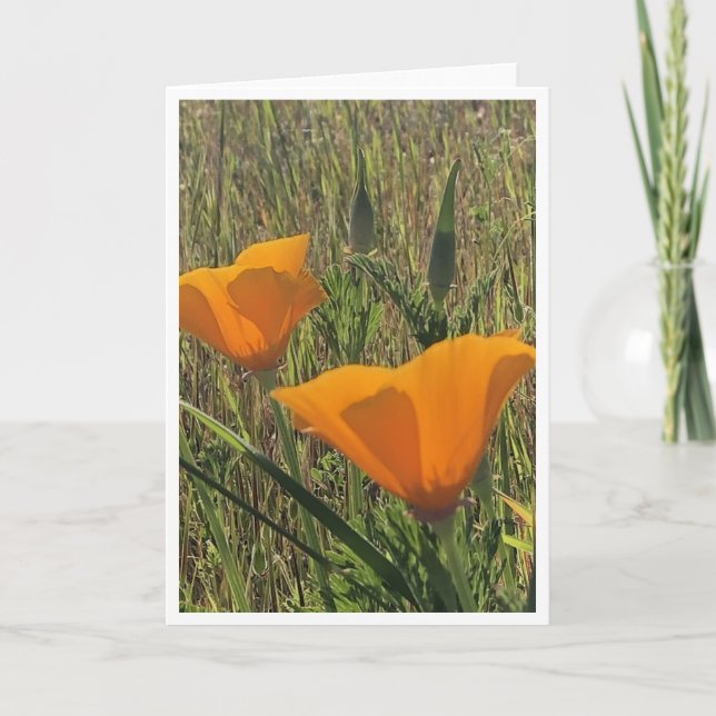 Carte Golden Poppies - 2 (Devant)