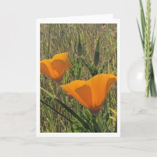 Carte Golden Poppies (Inside Blank)