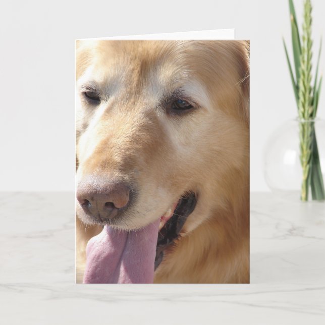 Carte Golden Retriever (Devant)