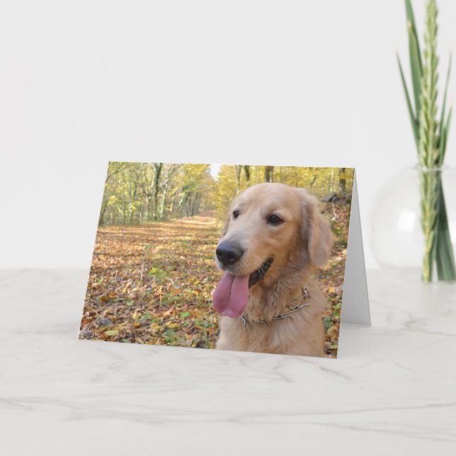 Carte Golden Retriever (Devant)