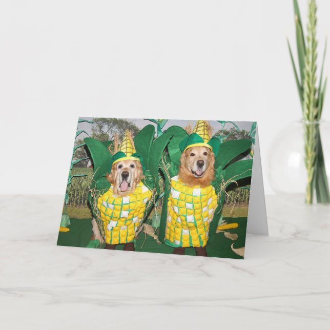 Carte Golden Retriever A-Maize-Ing Corn Thanksgiving (Devant)