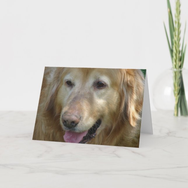Carte Golden Retriever Age 10 ans (Devant)