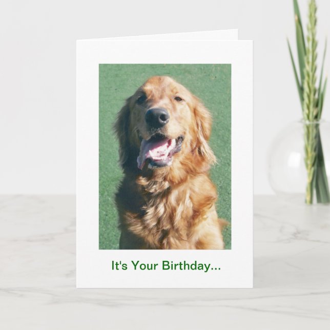 Carte Golden Retriever Anniversaire Card, Golden Years (Devant)