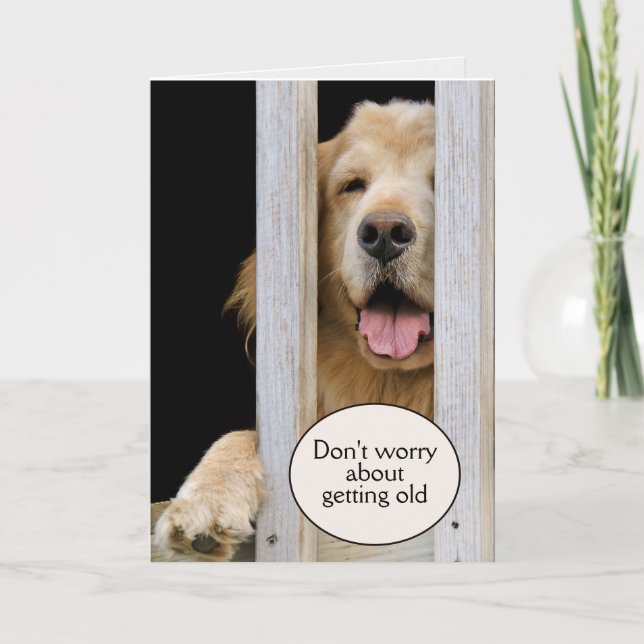Carte Golden Retriever Anniversaire Obtenir un vieil Hum (Devant)