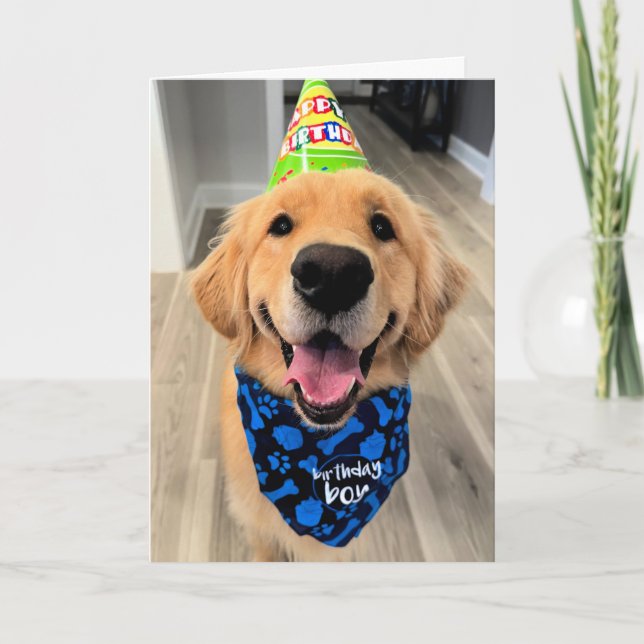 Carte Golden Retriever avec Casquette d'anniversaire et  (Devant)