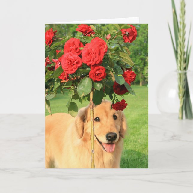 Carte Golden Retriever avec des Roses qui pensent à vous (Devant)