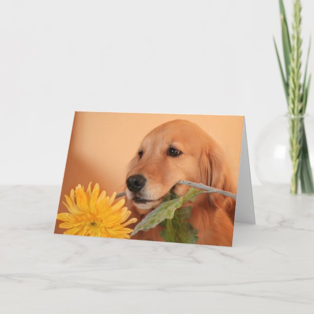 Carte Golden Retriever Avec Fleur (Devant)