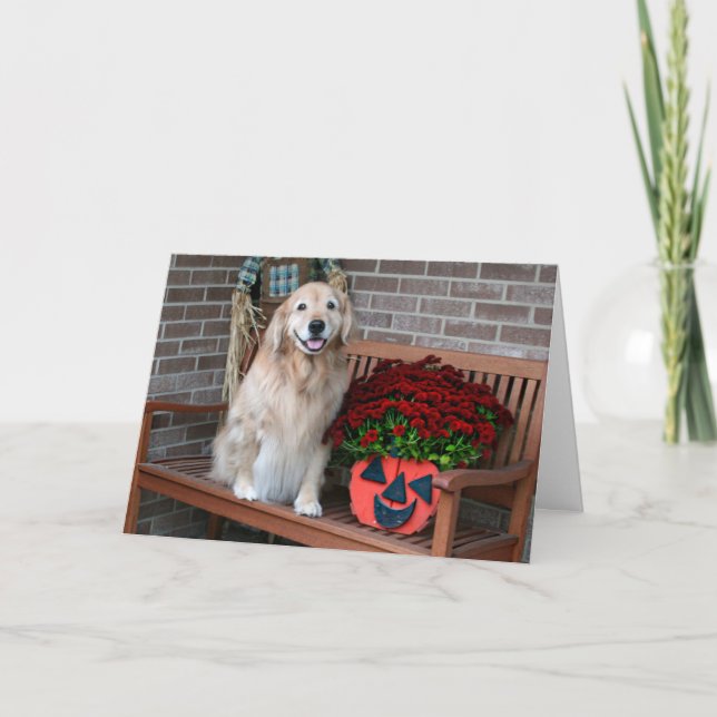 Carte Golden Retriever avec Halloween Citrouille Planter (Devant)