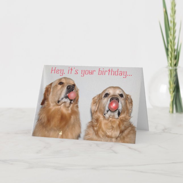 Carte Golden Retriever Bubblegum Anniversaire (Devant)